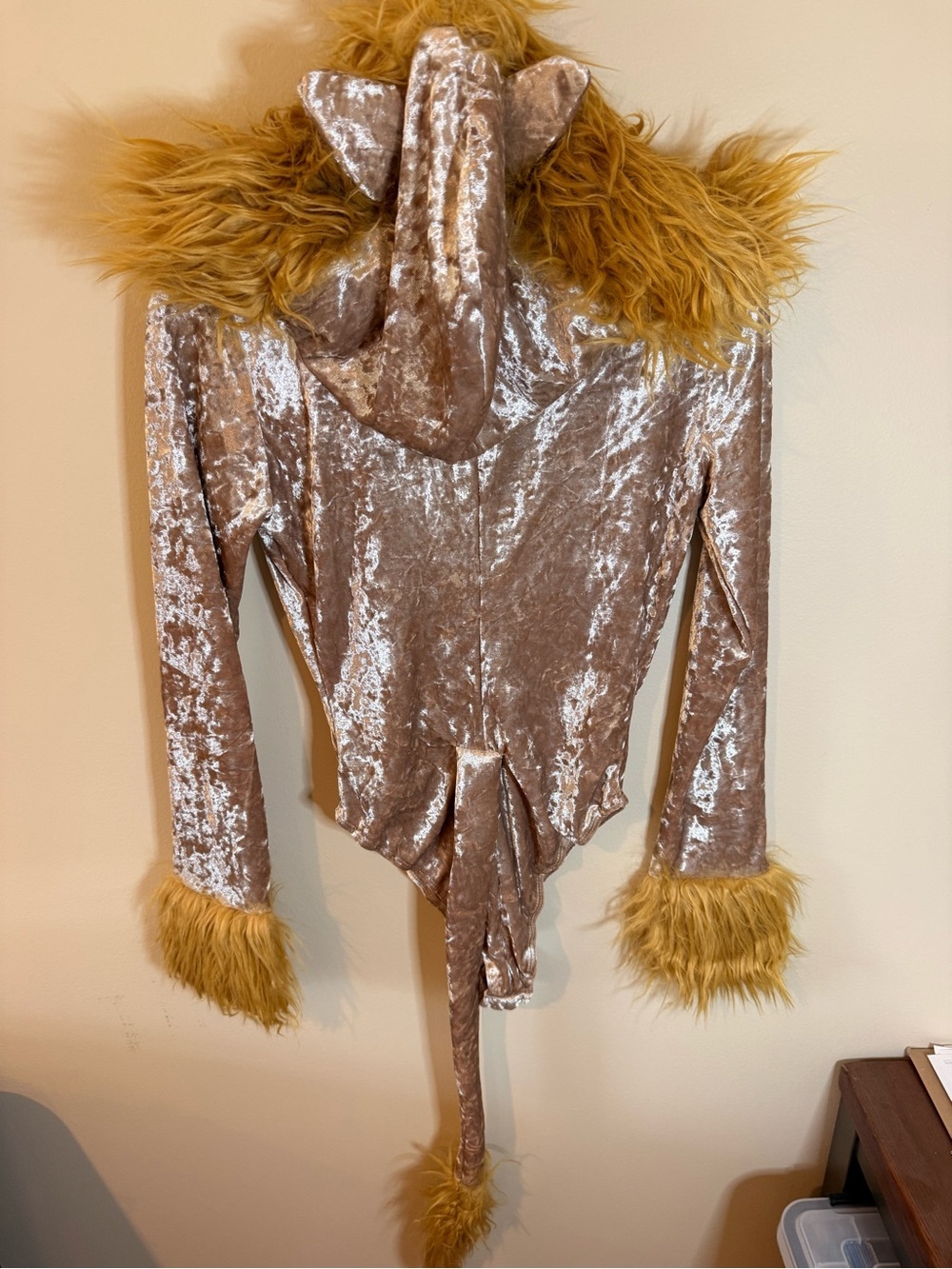 Lion Halloween costumes - Picture 5 of 5